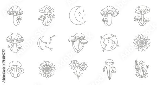 Whimsical collection of hand drawn fungi moon constellations and wildflowers in outline style