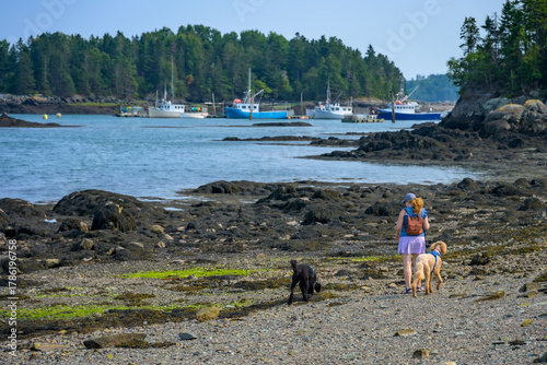 Woman and two dogs on rocky beach with fishing boats in background