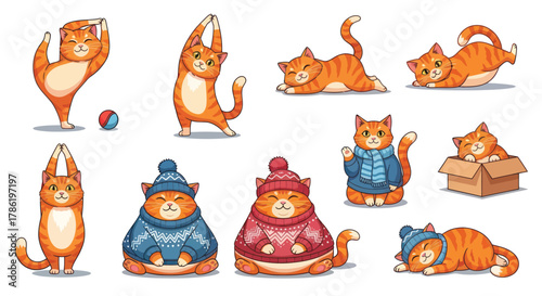 Adorable ginger cats enjoying yoga, winter fashion, and cozy boxes, pure joy