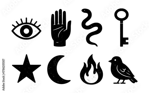 Mystical elements set: hand, eye, star, moon, snake, fire, bird, key icons