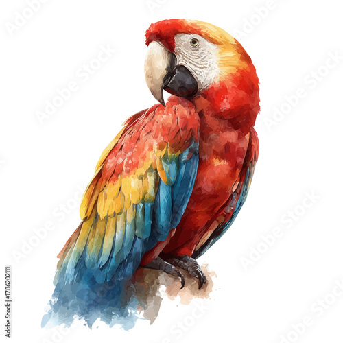 A watercolor painting of Macaw, vector illustration on white background.