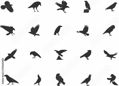 Crow and Raven Silhouettes Ve...