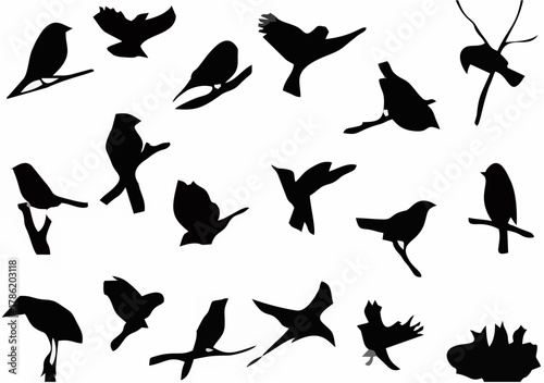 Crow and Raven Silhouettes.eps