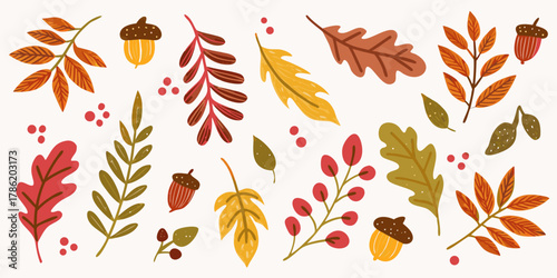 Collection of autumn leaves acorns and berries in warm fall colors on a white background