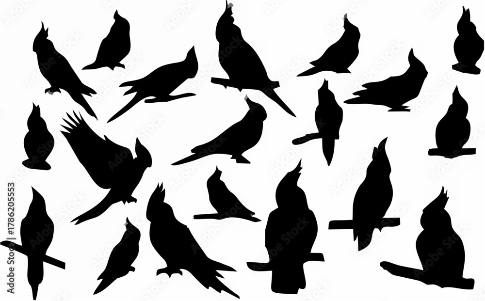 Obraz premium Solid black silhouette of a c...