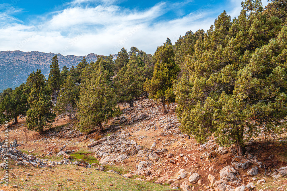 Obraz premium The scenic views of the countryside of Elmalı, Antalya, in the autumn season, with colorful leaves