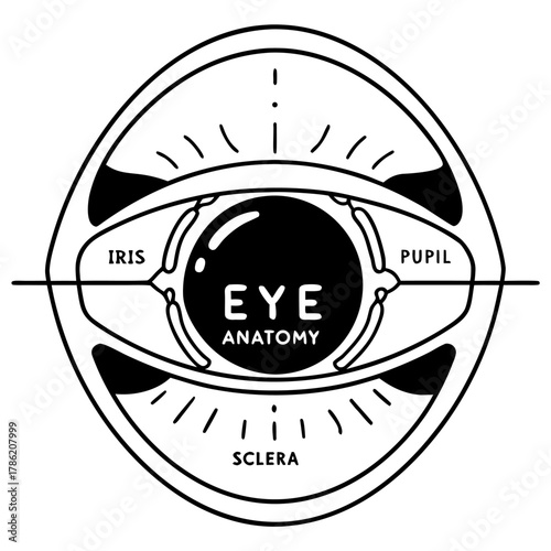 Eye anatomy diagram with labels for iris, pupil, and sclera