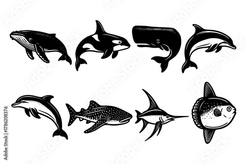 Marine mammal silhouettes: whales, dolphins, and ocean creatures in monochrome design