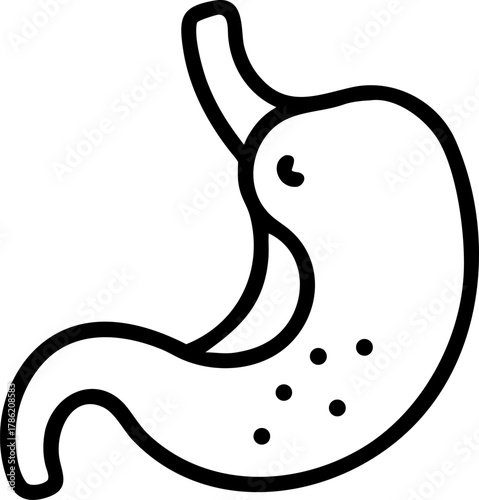 Simple outline illustration of a human stomach