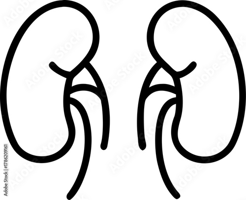 Outline illustration of two human kidneys