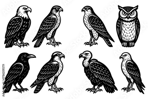 Set of eight detailed black and white birds in vintage style