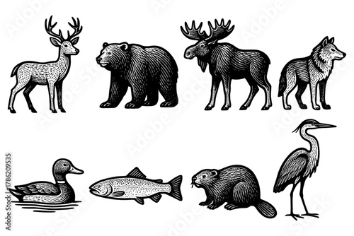 Wild animals woodcut style: deer, bear, moose, wolf, duck, trout, beaver, heron
