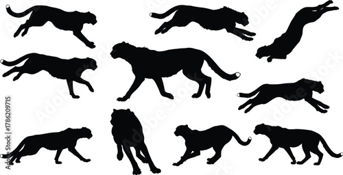 Cheetah silhouette illustration, running cheetah vector, wild animal graphic, predator outline, wildlife motion design, African cat art, hunting pose, leaping cheetah, crouching predator, walking