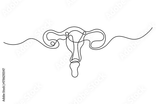 women's uterus continuous one line drawing of outline vector illustration