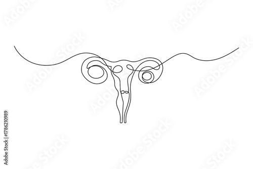 Women uterus continuous one line drawing of fallopian tubes modern style outline vector illustration