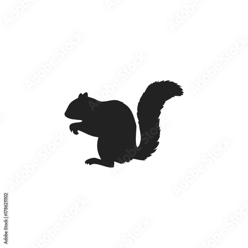 Squirrel Silhouette Vector