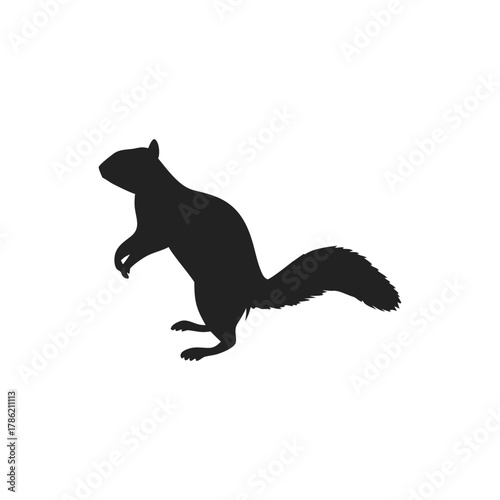 Squirrel Silhouette Vector