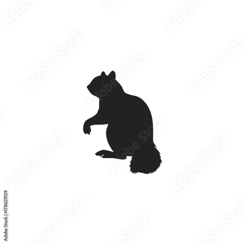 Squirrel Silhouette Vector