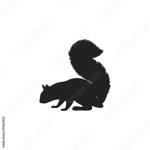 Squirrel Silhouette Vector