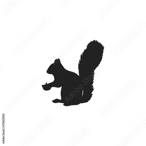 Squirrel Silhouette Vector