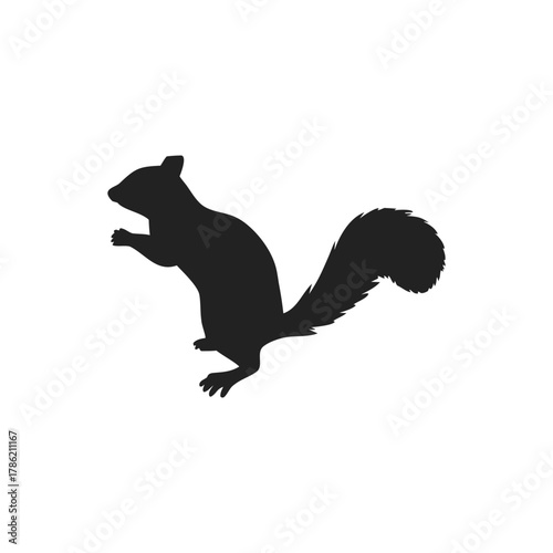 Squirrel Silhouette Vector