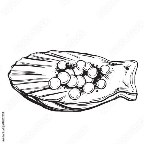 Sketch of caviar on a shell. Hand-drawn ink vector illustration of red caviar. Linear graphic elements for grocery store design, isolated on a white background.