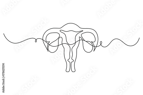Women uterus continuous one line drawing of fallopian tubes modern style outline vector illustration