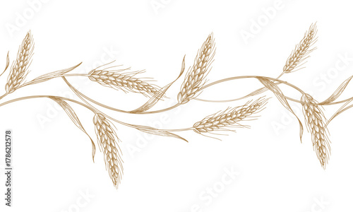 Seamless border of wheat. Vector ink styled handmade illustration. For packaging design, cards, cover, prints, product labels and fabric.