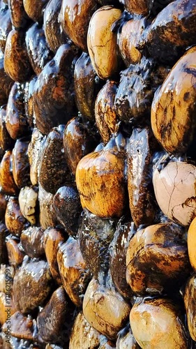 A perfect vertical video background for social media. Calming water trickles down a wall of smooth, wet river stones, creating a serene spa atmosphere.