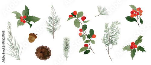 Winter botanical watercolor vector illustration with pinecones, holly leaves, berries, and mistletoe in soft green, blue and red tones. Design for greeting cards, packaging and fabric.