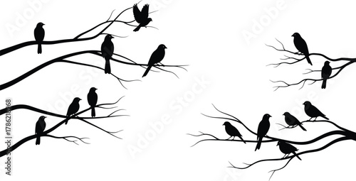 Bird silhouettes perched on tree branches, black and white illustration, natural wildlife scene, minimalist design, flock of birds artwork