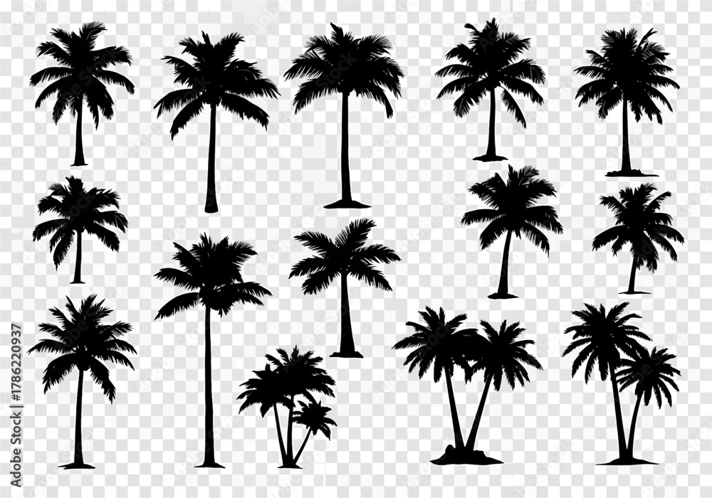 Fototapeta premium Collection of Black Silhouettes of Palm Trees in Various Shapes and Sizes Isolated on a Transparent Background