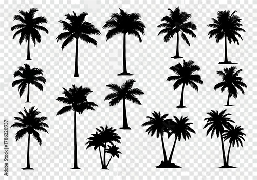 Collection of Black Silhouettes of Palm Trees in Various Shapes and Sizes Isolated on a Transparent Background