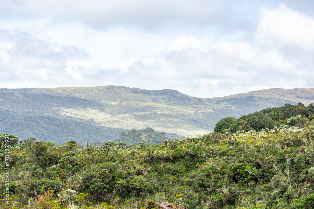Obraz premium A beautiful panoramic view of the lush hills and diverse vegetation in Purace, Popayán, Cauca, Colombia, showcasing nature's serenity.