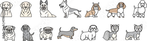 Collection of Diverse Dog Breeds Illustrated in a Simple, Clean, and Modern Flat Design Style