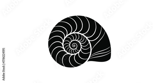 Striking black and white illustration of a nautilus shell, showcasing its elegant spiral pattern.