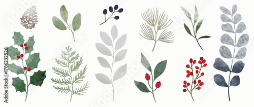 Winter botanical watercolor vector illustration with pinecones, holly leaves, berries, and mistletoe in soft green, blue and red tones. Design for greeting cards, packaging and fabric.