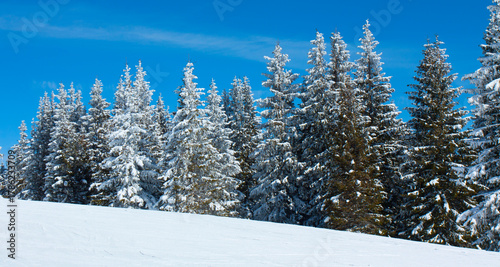 Ski resort Pamporovo in the Rhodopes mountains in Bulgaria