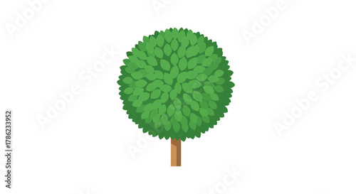 A small, round, green tree with a brown trunk on a white background, perfect for nature-themed designs.
