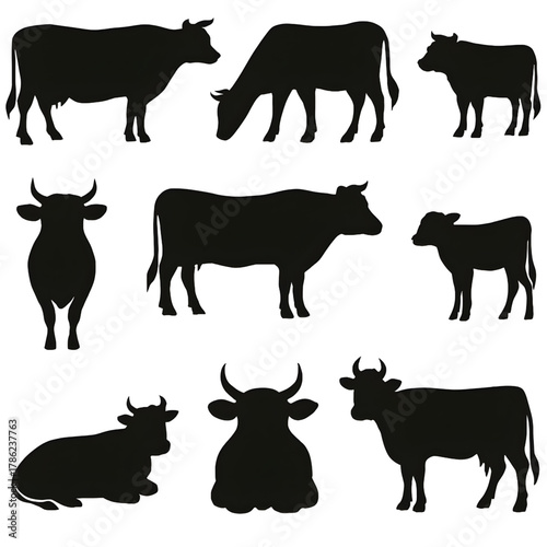 Set Cow silhouette vector style with white background