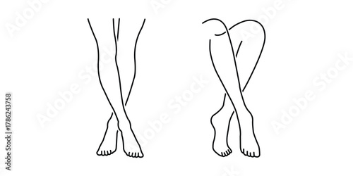 Woman legs vector. Crossed Leg Line Drawing Set on white background