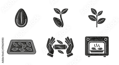 Seed preparation process for growing plants in drying oven concept  
