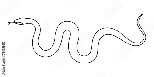 Outline drawing of a snake, simple reptile graphic illustration