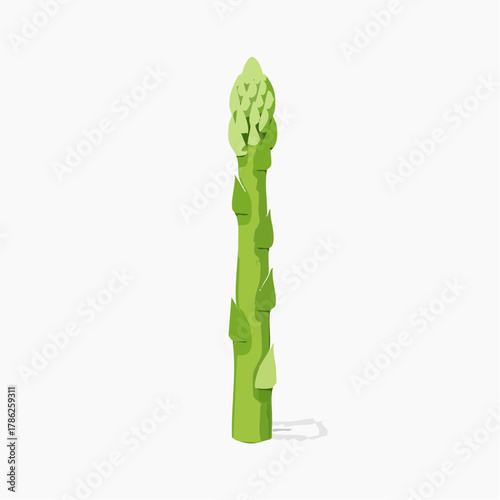A tall, slender green asparagus spear stands upright, its delicate tip perfectly in focus.