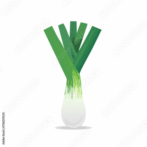 A long, slender light green leek with its white bulbous end sits gracefully, showing subtle layers.