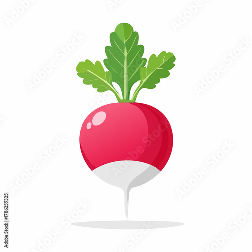 A plump, smooth, vibrant red radish with a delicate white tip and a wisp of green stem.