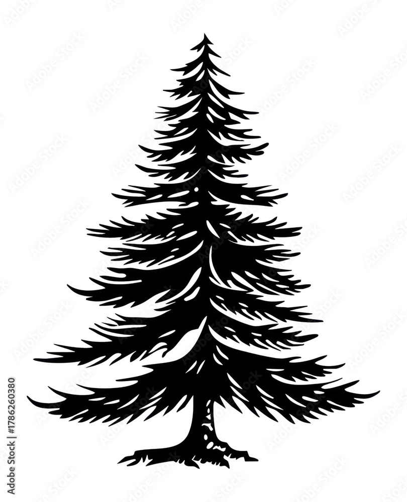 Fototapeta premium PNG A pine tree illustration silhouette nature.