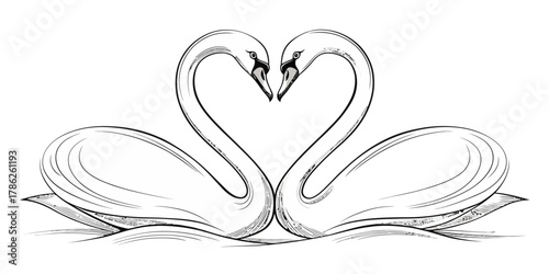 Christmas vector illustration of two swans facing each other forming a heart shape with their necks in black and white