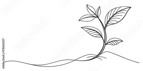 Christmas vector illustration of a young plant with leaves emerging from the ground in black and white outline style