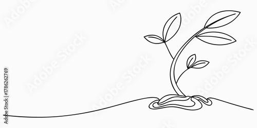 Christmas vector single line drawing of a small plant growing with leaves sprouting from the ground in black and white